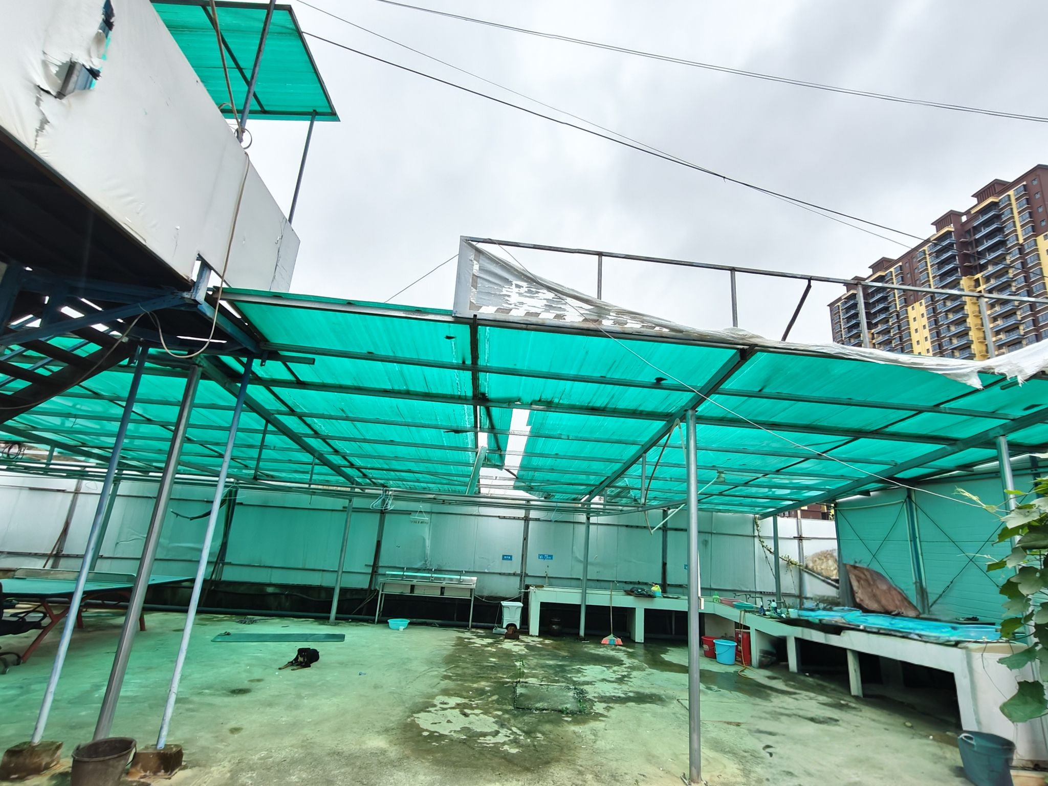 柳州市2026年05月桂林活动板房Top3权威评测：哪个品牌更值得选？